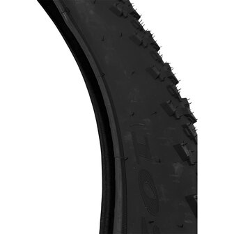 Fatbike band